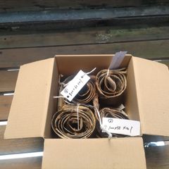胡桃 くるみ クルミ 皮 樹皮 約2kg 胡桃 くるみ クルミ 皮 樹皮 約2kg - メルカリ