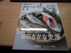 オランダGPの16ラップ: 片山敬済の戦い (角川文庫 い 14-13) - メルカリ