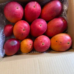 2026年最新】Mango 食品 果物の人気アイテム - メルカリ