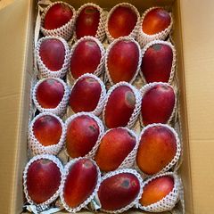 特大6玉約3.1kg】宮崎完熟マンゴー 訳あり品 - メルカリ