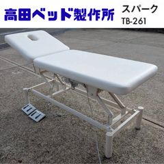 パラマウントベッド 電動 介護ベッド TS3060 プレグラーマットレス付き