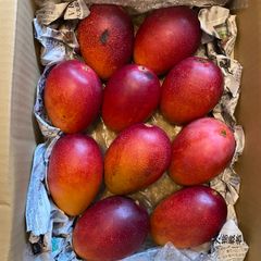 特大6玉約3.1kg】宮崎完熟マンゴー 訳あり品 - メルカリ