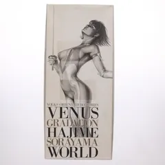 オリエントヒーローシリーズ ヴィーナスグラデーション HAJIME SORAYAMA WORLD キューティーハニー 1/6 ガレージキット フィギュア ボークスショップ&ホビー天国ウェブ限定 ボークスのサムネイル