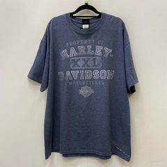 Hardy Amies 刺繍ロゴ Tシャツ Lブルー LL - メルカリ