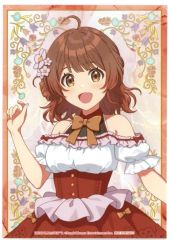 [중고]캐릭터 카드 하나하이 싹 브로마이드 floral dress ver. [학원 아이돌 마스터×HANA·BIYORI] 대상 상품 구입 특전