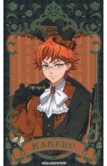 十王院カケル アニカフェ カード KING OF PRISM キンツア - メルカリ