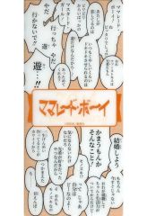 りぼん 付録 90年代 ママレード・ボーイ 吉住渉 光希ちゃん レター