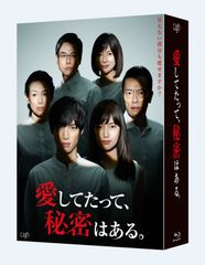 昭和の名作ライブラリー 第117集 島田陽子主演 いとこ同志〈2枚組