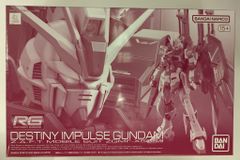 반다이 RG 기동 전사 건담 SEED DESTINY MSV 데스티니 임펄스 1/144