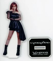 LE SSERAFIM KIM CHAEWON アクリルスタンド - メルカリ