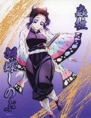 [중고] 캔버스 보드 · 캔버스 아트 후추 시노부 미니 캔버스 [귀멸의 칼날]