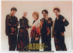[중고] 아크릴 스탠드 아크릴 패널 Aqua Timez 20th 포토 패널 [Aqua Timez 20th Live -OLDROSE-]
