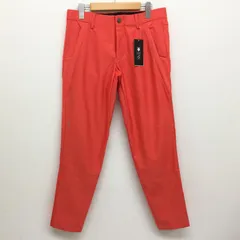 デサント DGM0JD05 BASIC SERIES PT-ZERO 立体的裁断 機能性 防滑性 ドライタッチ ゴルフパンツ タグ付 メンズ M ISItems【USED】【古着】【中古】50117296のサムネイル