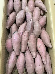 栗かぐや　ASサイズ　4kg　鹿児島県産　さつまいも　さつま芋のサムネイル