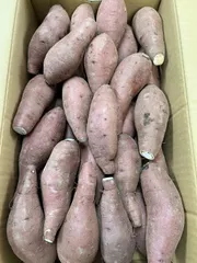 栗かぐや　BMサイズ　鹿児島県産　さつまいも　5kg　さつま芋のサムネイル