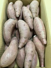 専用 ふくむらさき 20kg(箱込) S(約100g～200g) 茨城県産 - メルカリ
