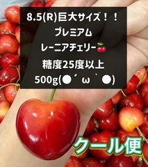超希少8.5R 巨大レーニアチェリー 糖度25度超500g さくらんぼ チェリー 
