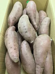 栗かぐや　B2Lサイズ　鹿児島県産　さつまいも　5kg　さつま芋のサムネイル