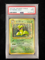 ハヤシガメ DP PSA10 ポケモンカード エントリーパック 世界で1枚