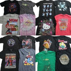古着卸 まとめ売り キャラクター Tシャツ 16枚セット ( メンズ L