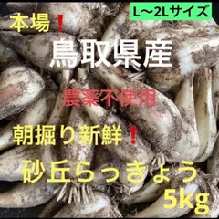 ☆もーちゃす様専用☆のサムネイル