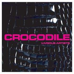 CROCODILE RIDDIM / HUNTER CHANCE - メルカリ
