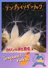 中古】邦楽CD Buono! / SHERBET[DVD付初回限定盤] - メルカリ