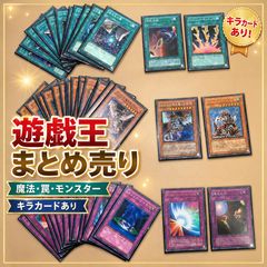 ロルカナ 赤青 構築済みデッキ ルビー サファイア インクブースト