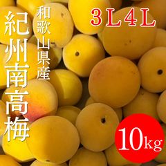 和歌山県産 紀州南高梅 3L4L混合 10キロ - メルカリ
