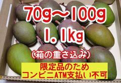 摘果マンゴー 未熟マンゴー 加工用マンゴー グリーン/ 約2㎏ （ 2キロ