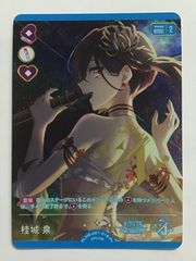 文山雪華プロ ダーツライブカード 【ブース限定】 - メルカリ