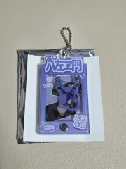 忍たま乱太郎 シーン アクリル キーホルダー 竹谷 八左ヱ門