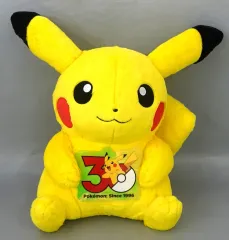 【中古】ぬいぐるみ ピカチュウ(オスのすがた) 30周年記念ぬいぐるみ 「一番くじ Pokemon 30th ANNIVERSARY vol.1」 ダブルチャンスキャンペーン&ラストワン賞のサムネイル