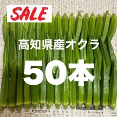 50本 高知県産 野菜 オクラ即購入OK 産地直送 suqのサムネイル