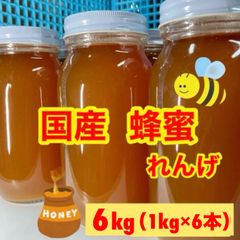 フォロー割国産純粋れんげ蜂蜜 1kg 8本 - メルカリ