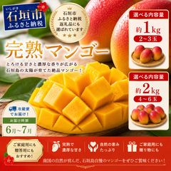 宮崎完熟マンゴー訳あり約2kg 早い者勝訳あり完熟マンゴー2kg