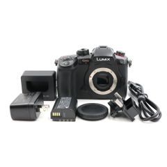 LUMIX GH5S ボディ シャッター回数50回 (DC-GH5S) - メルカリ