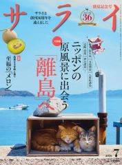 中古】CDアルバム 魔法のプリンセスミンキーモモ 歌うフェアリーテール