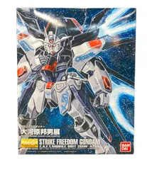 2026年最新】MG ストライクフリーダム 大河原邦男の人気アイテム
