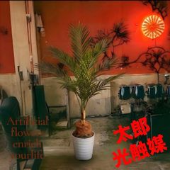 光触媒 人工観葉植物 フェイクグリーン フィカストライアンギュラス180