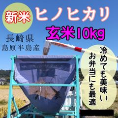 2025年産！九州・福岡県朝倉市産ヒノヒカリ玄米10キロ(農薬不使用・無