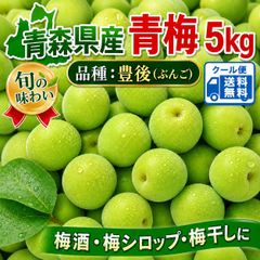 青森県産長芋 5kg 送料無料！ご家庭用 - メルカリ