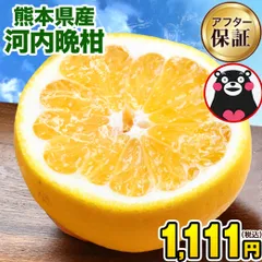 河内晩柑 1.5kg 送料無料 和製 グレープフルーツ フルーツ 果物 訳あり 夏文旦 晩柑 ジューシーみかん 熊本県産 mikan 《1-5営業日以内に発送(土日祝除く)》のサムネイル