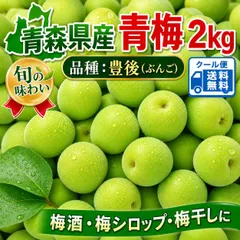 クール便　青森県産　青梅　ご家庭用　豊後(ぶんご)　2kg　送料無料！のサムネイル