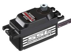 SANWA サンワ PGS-CL2 CLⅡプログラマブルロープロサーボ 【新品