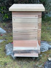 熟練大工作製、柾目板使用で重箱の節抜けの心配なし、日本蜜蜂6段重箱