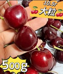 マツモト商店『6月7日〜10日お休み』 - メルカリShops