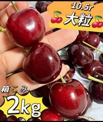 クール便‼️2kg‼️超大粒！9.5r アメリカンチェリー 車厘子さくらんぼ