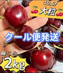 クール便‼️9.5r超大粒アメリカンチェリー2kg 果物 フルーツ