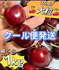 マツモト商店『6月7日〜10日お休み』 - メルカリShops